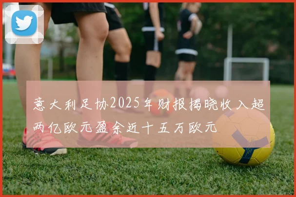 意大利足协2025年财报揭晓收入超两亿欧元盈余近十五万欧元
