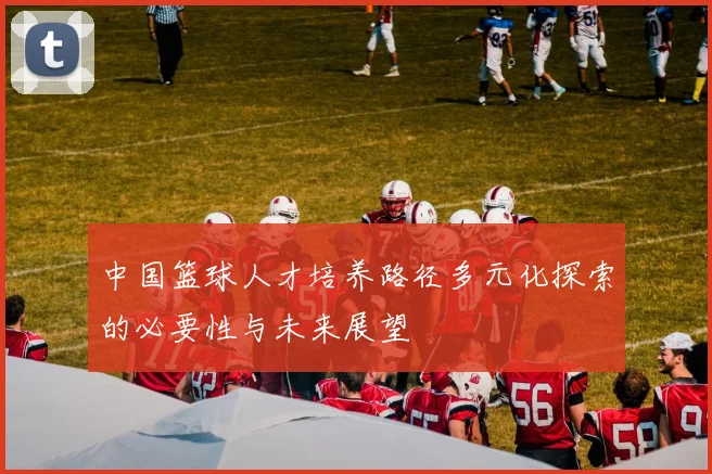 中国篮球人才培养路径多元化探索的必要性与未来展望