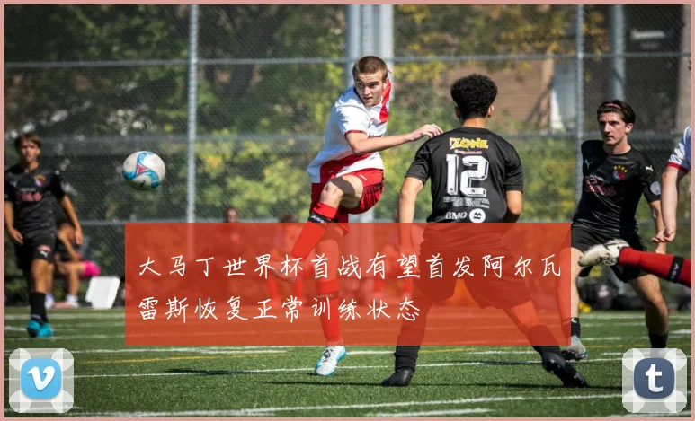 大马丁世界杯首战有望首发阿尔瓦雷斯恢复正常训练状态